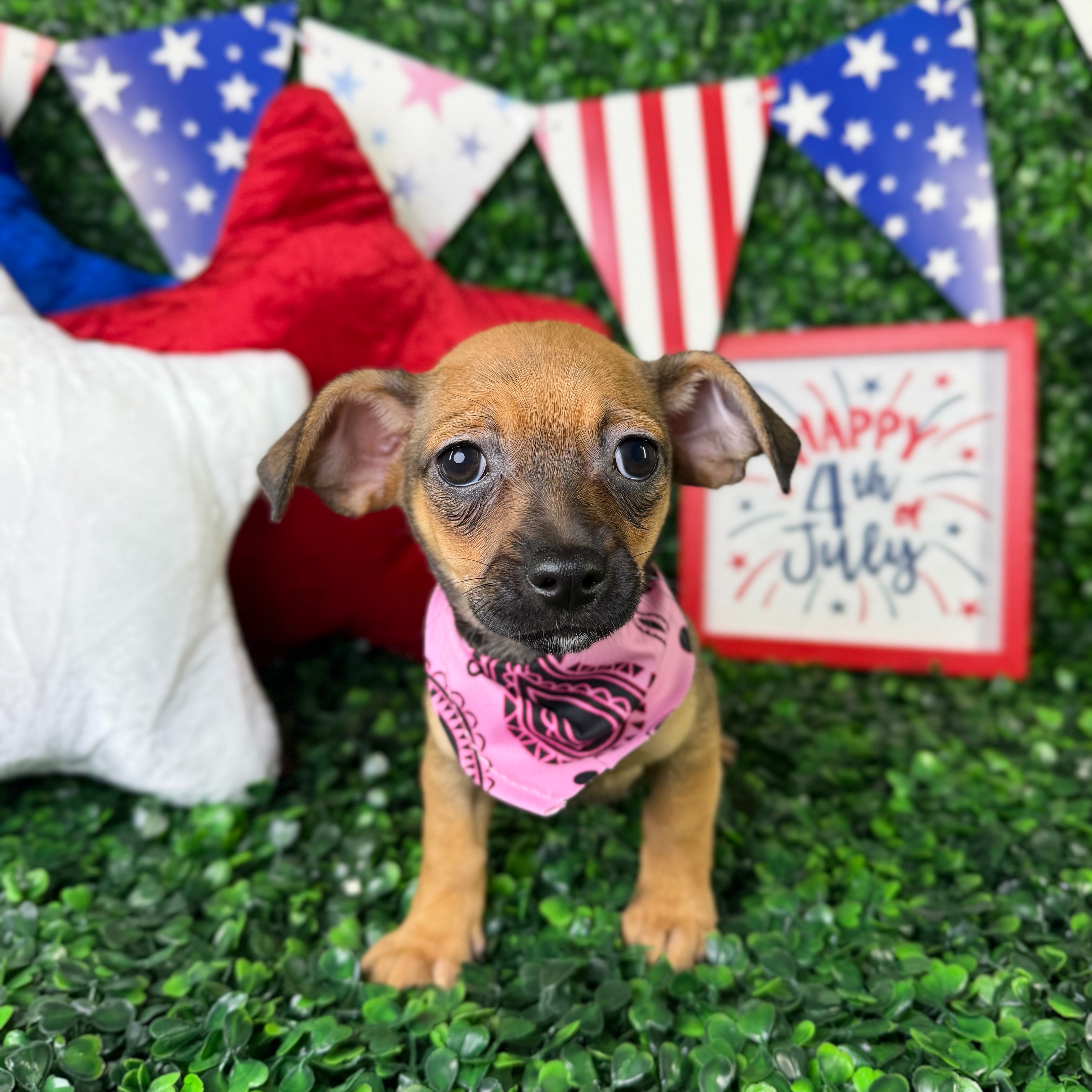 Chloe