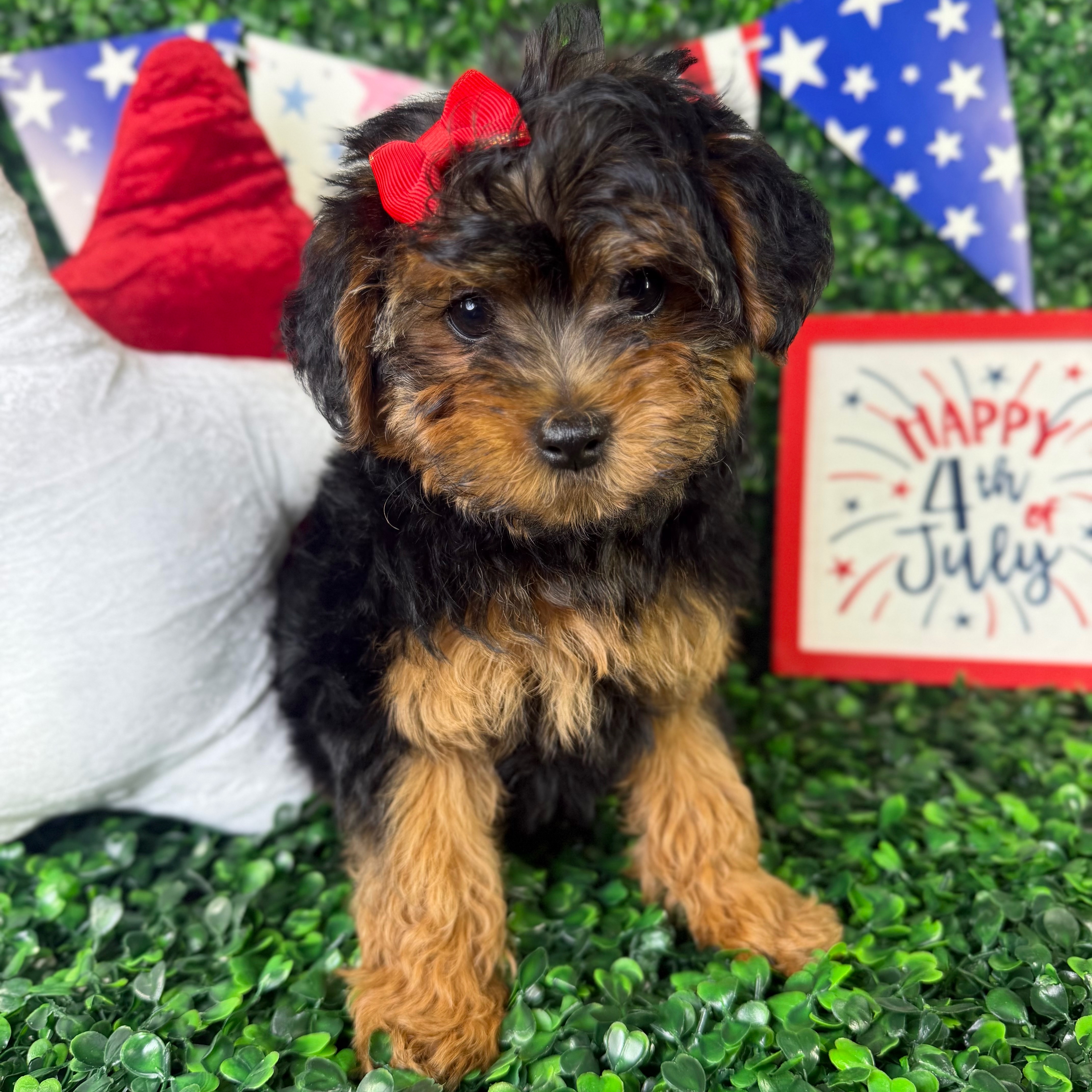 Rosie