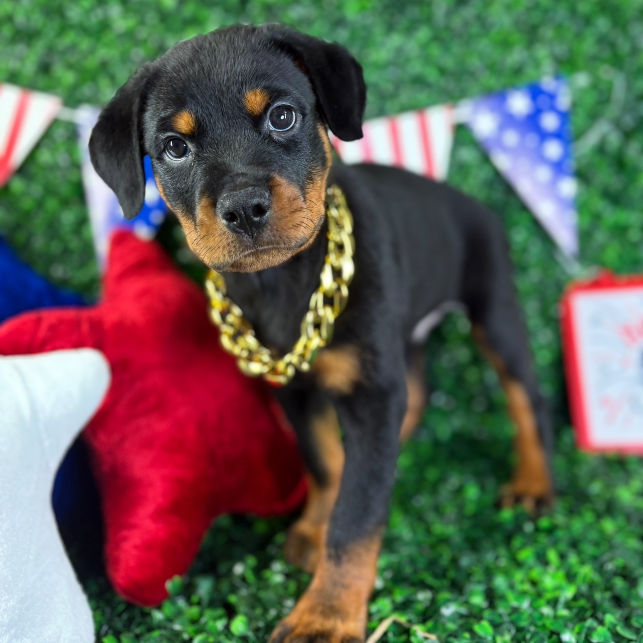 Diesel